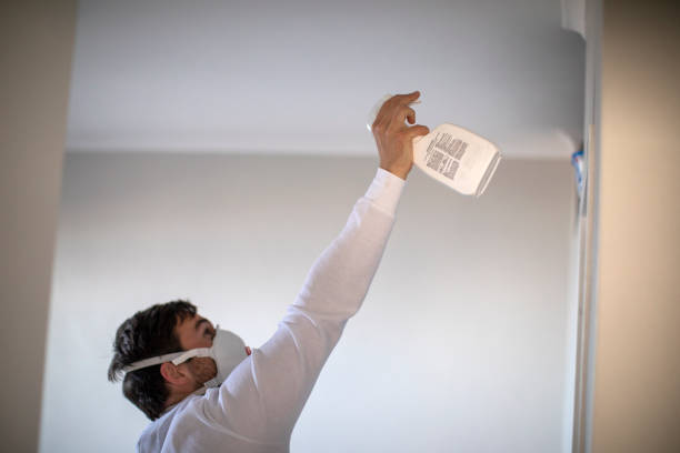 Best Professional Mold Removal  in Palacios, TX