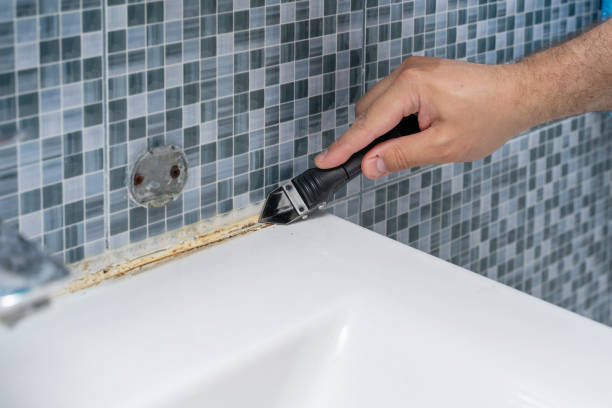 Best Commercial Mold Removal  in Palacios, TX