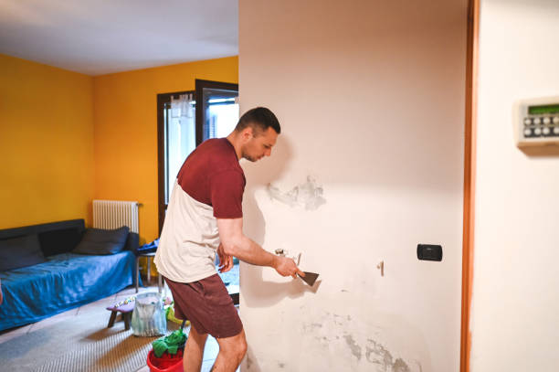 Best Mold Remediation  in Palacios, TX