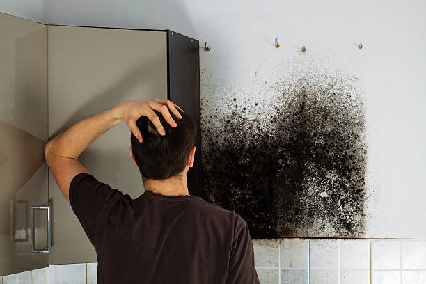 Best Office Mold Removal Services  in Palacios, TX